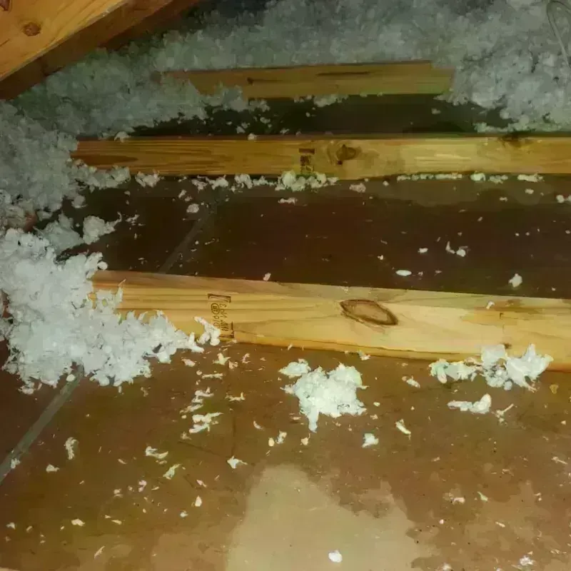 Attic Water Damage in Jamul, CA