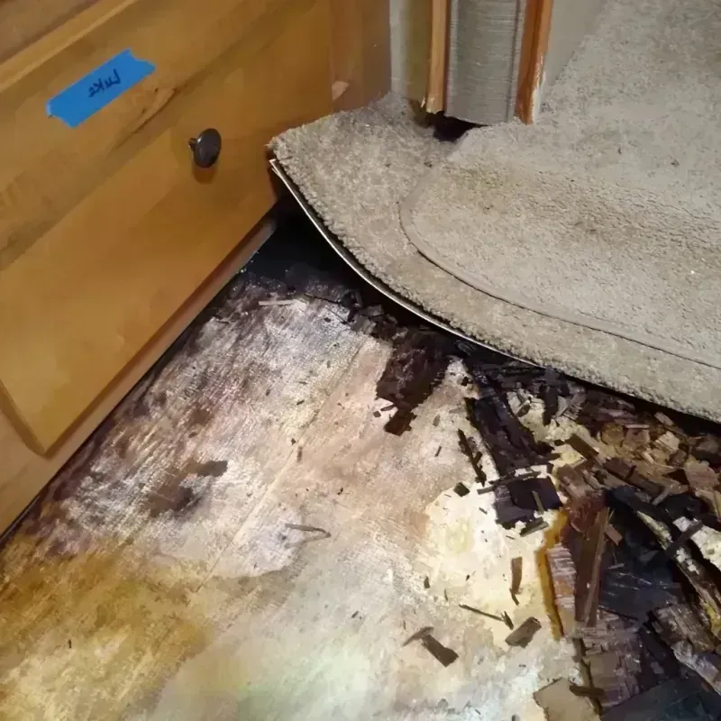 Wood Floor Water Damage in Jamul, CA